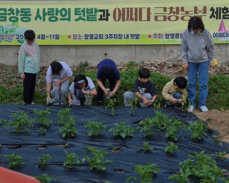 텃밭 활용 (8) 홈페이지.jpg