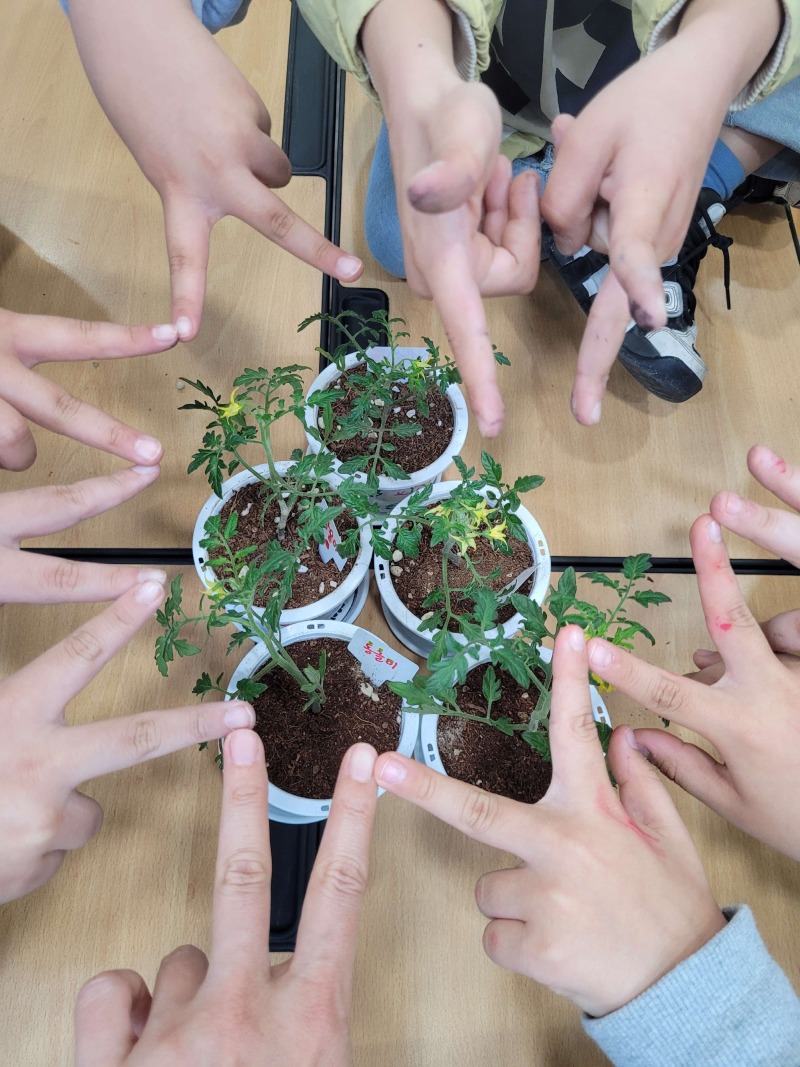 8회기(3) 홈페이지.jpg
